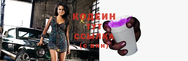apvp Арсеньев