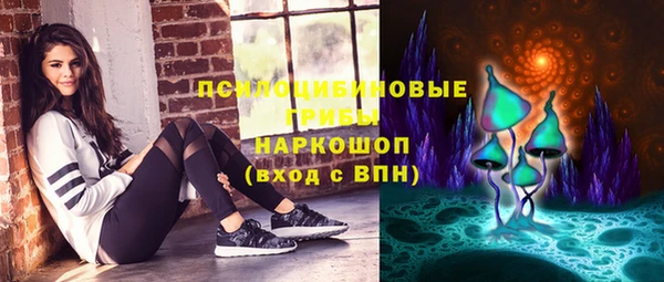 apvp Арсеньев