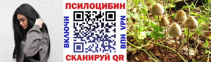 Галлюциногенные грибы Psilocybine cubensis  наркотики  Салехард 